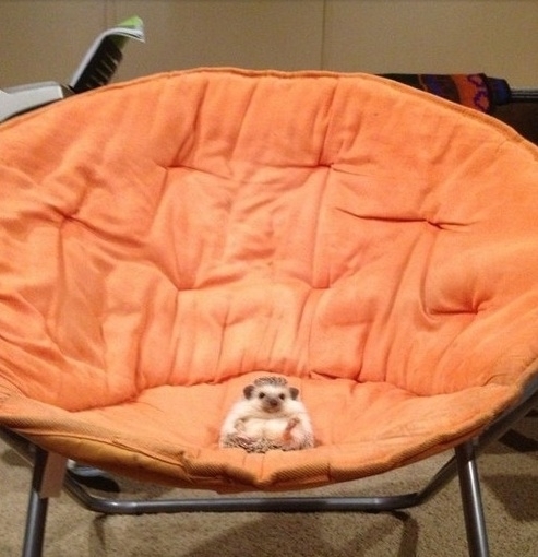 Have a seat we need to talk