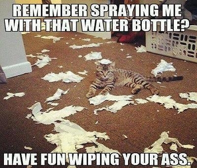 Have fun wiping your a