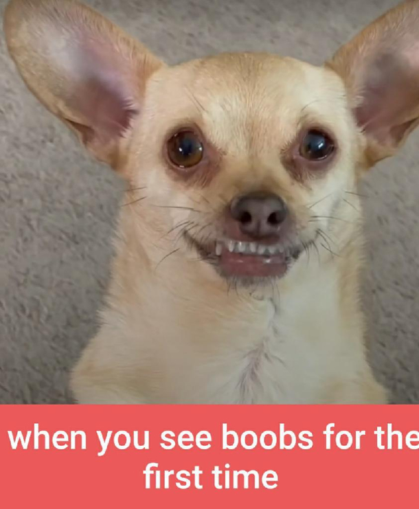 Have I been a good boy