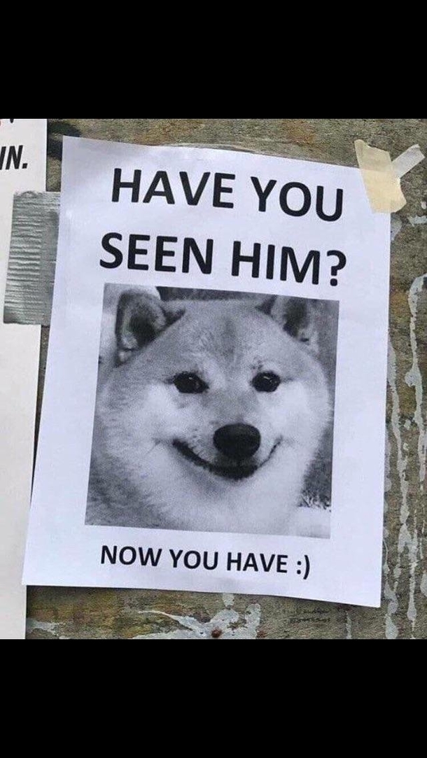 Have you 