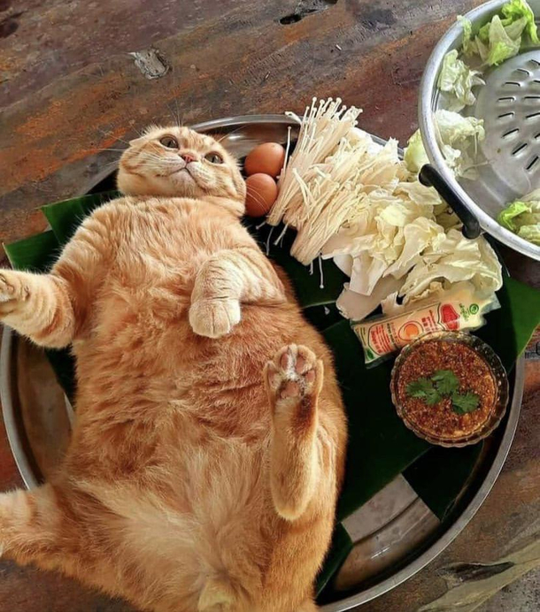 Have you eaten