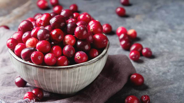 Have you ever eaten a cranberry The person who said yo lets make a sauce with this was a madman and pioneer