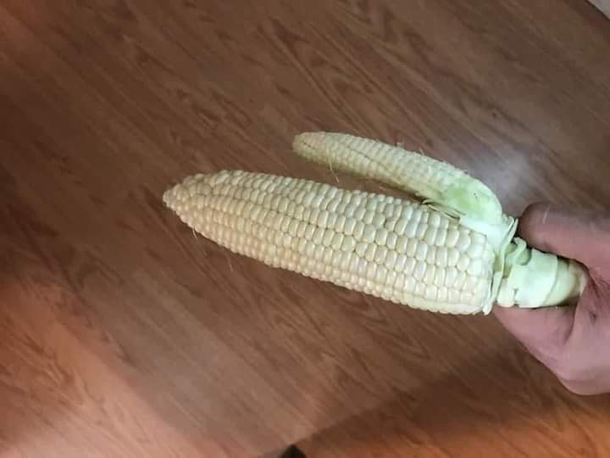 Have you ever had the feeling nature is trying to tell you something
