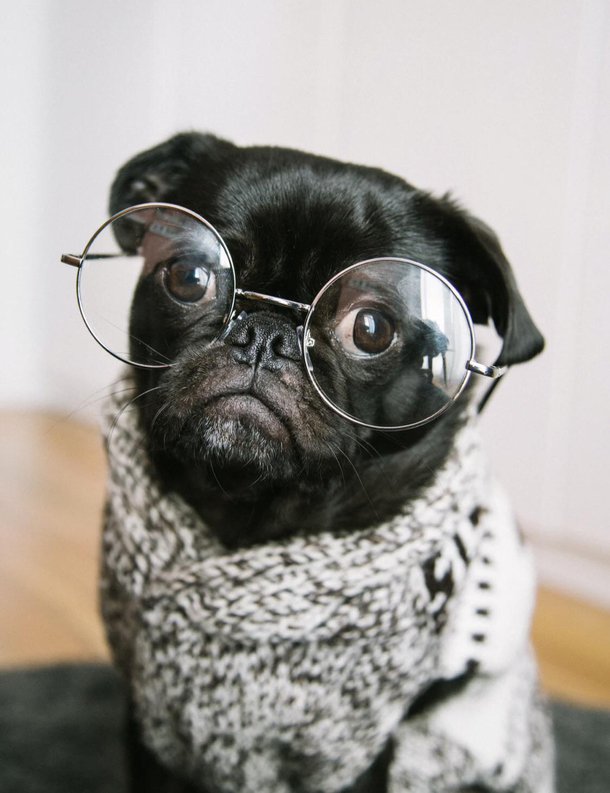 Have you ever seen that one person whos glasses suit them perfectly