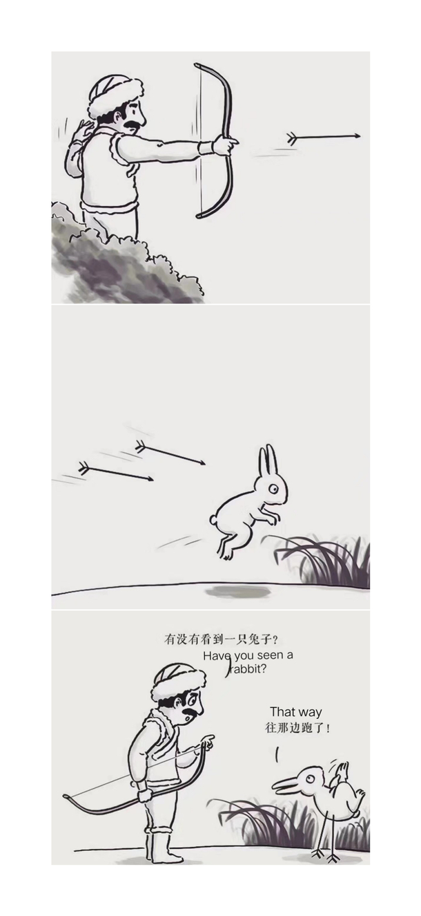 Have you seen a rabbit