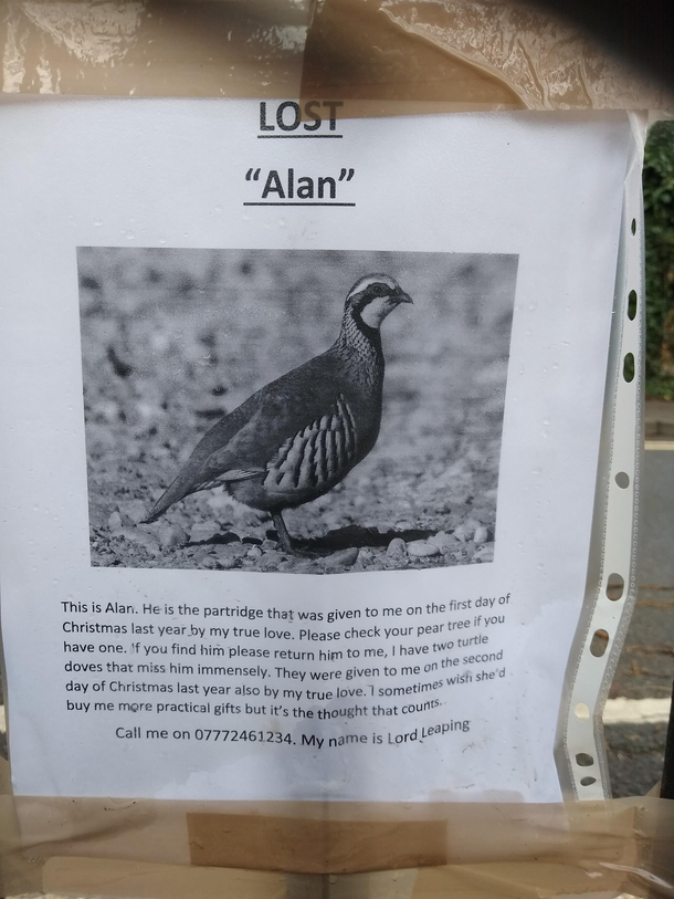 Have you seen Alan