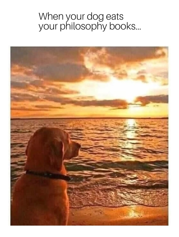 Have you seen my philosophy collection Cant find it