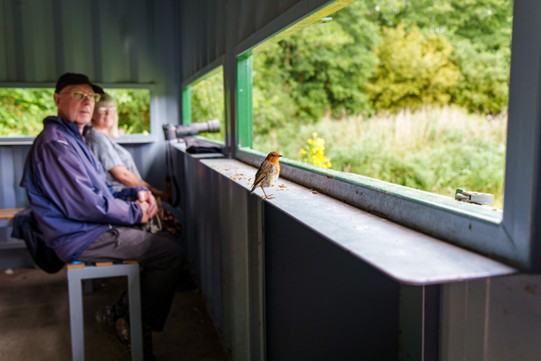 Have you spotted any birds yet