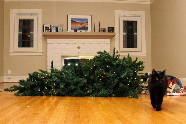 Have yourself a furry x-mas