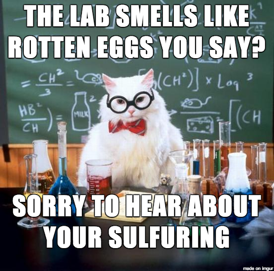 Havent seen Chemistry Cat in awhile
