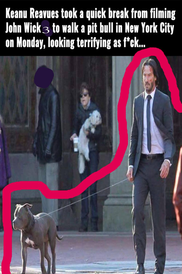 Having a dog is a big responsibility