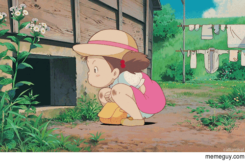 Hayao Miyazaki My Neighbor Totoro 