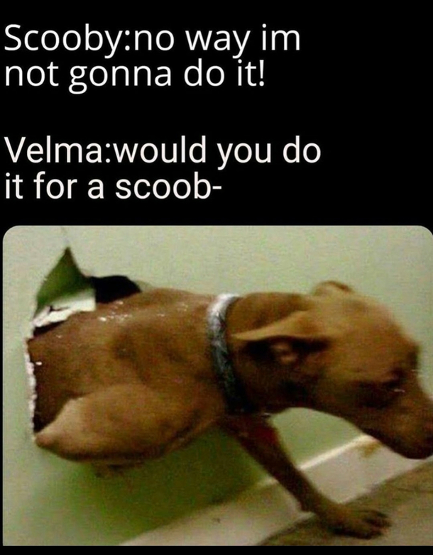 He a Snack
