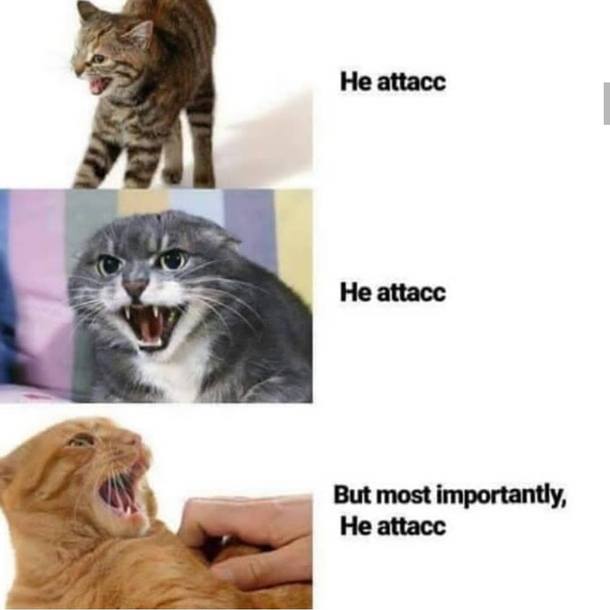 HE ATTAC