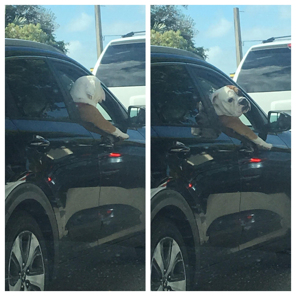 He caught me taking a photo of him 