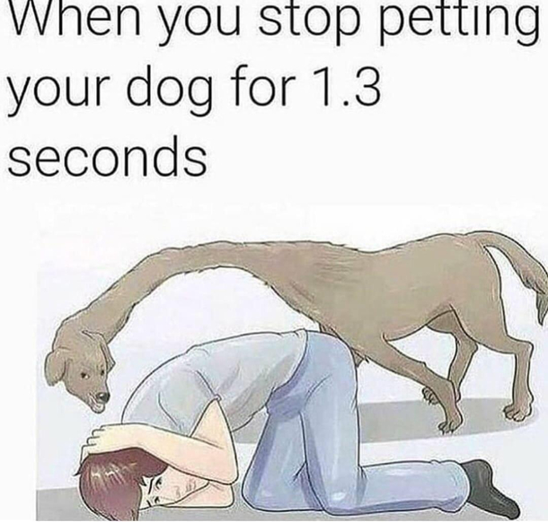 He does the bork