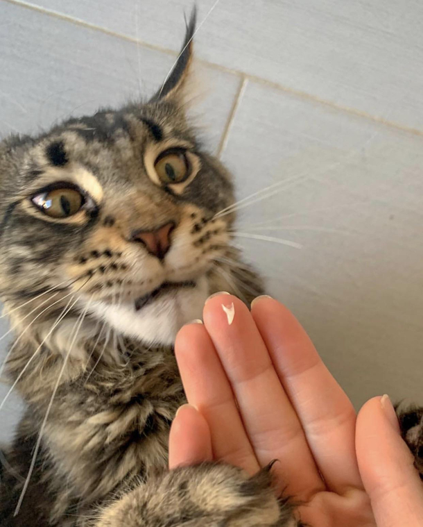 He doesnt want to say goodbye from his baby teeth or he is just scared whats happening 