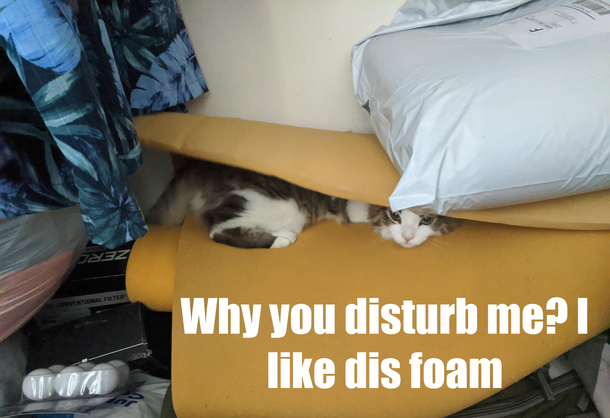 He found a place he likes to sleep