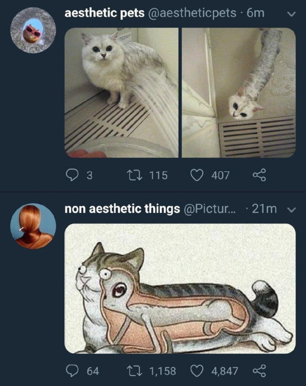 He found where the Aliens are hiding