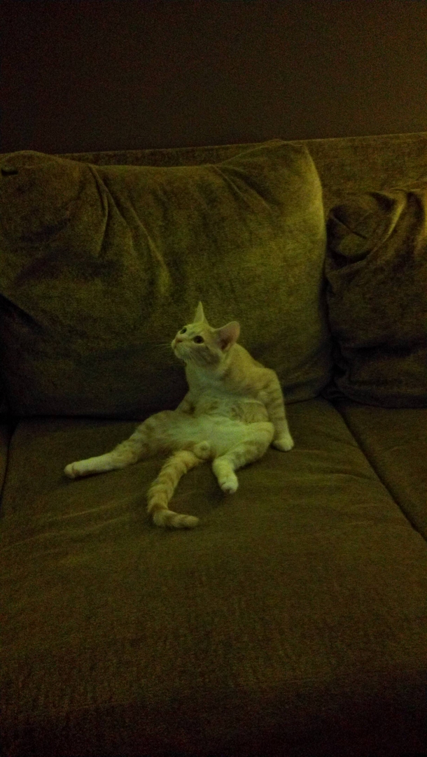 He got an idea while licking his balls