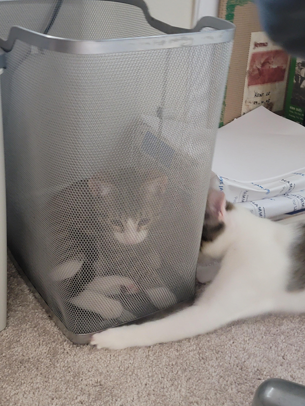 He got trapped and his brother is trying to save him