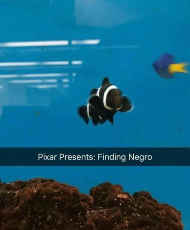 He grew up on the wrong side of the tank