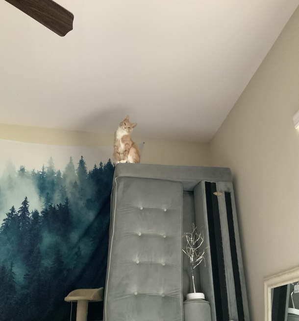 He has seen my sin