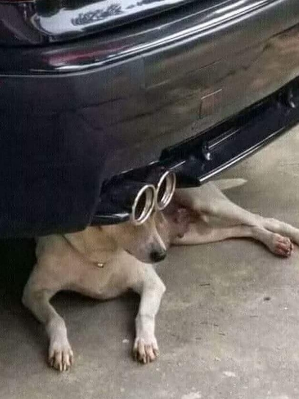 He has seen some fucked up shit