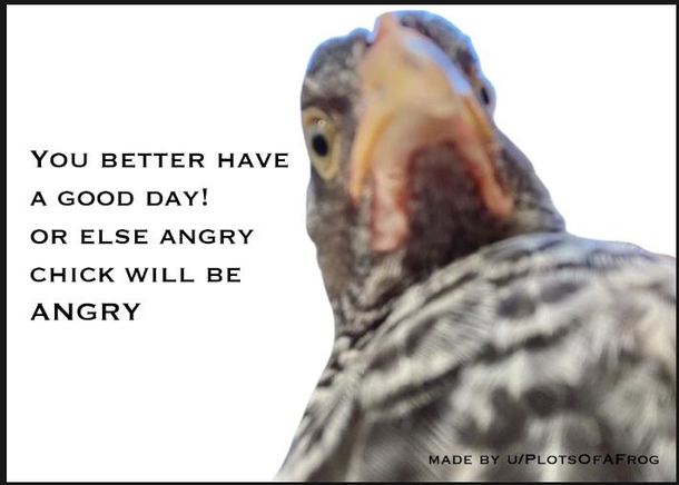 He hath spoken