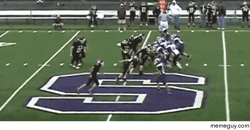 He is a  pound HB and this is why