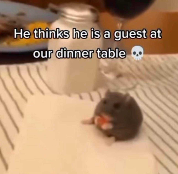 he is definitely welcome to join us at our dinner table