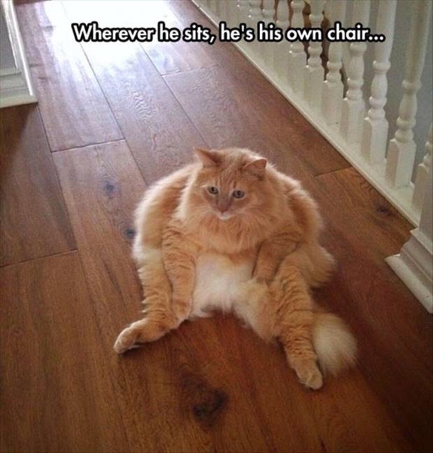 He is his own chair