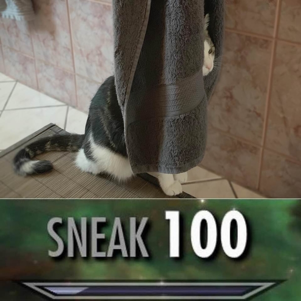 He is not allowed in the bathroom So he sometimes sneaks in and does this