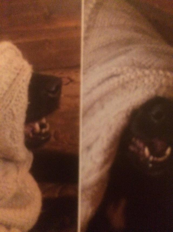 He is one with the force