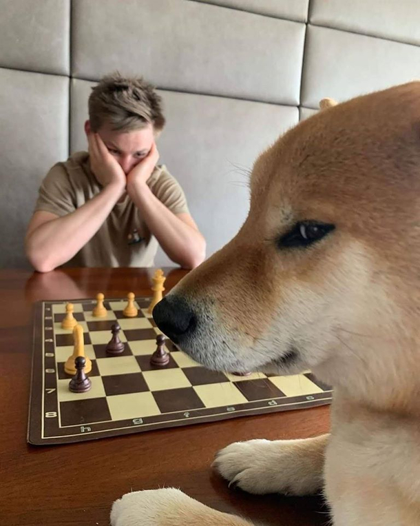 he is wining