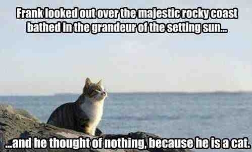 He just sat there like an idiot