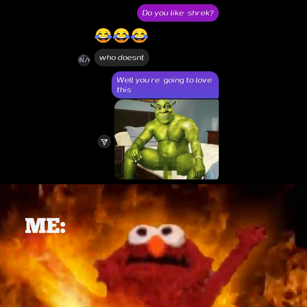 He likes shrek very much