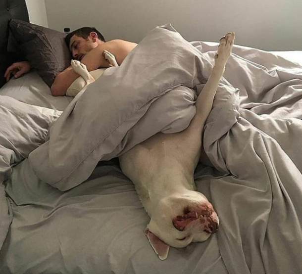 He likes sleeping like this