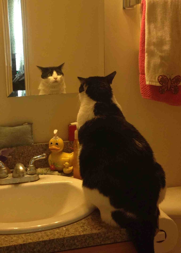 He looked in the mirror and his expression was priceless