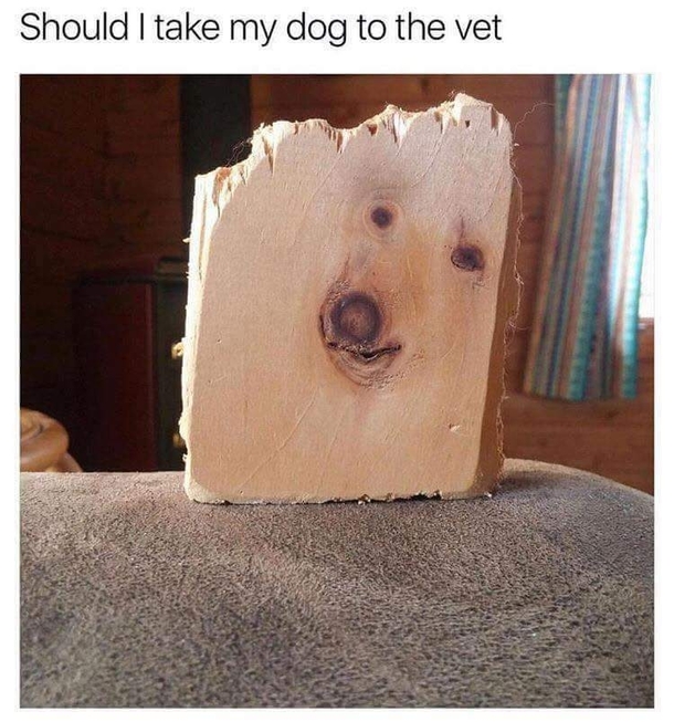 He looks a bit stiff but maybe hes just board