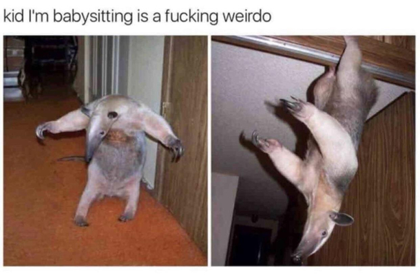 He looks normal to me