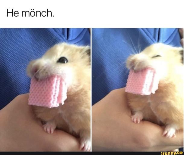 He monch