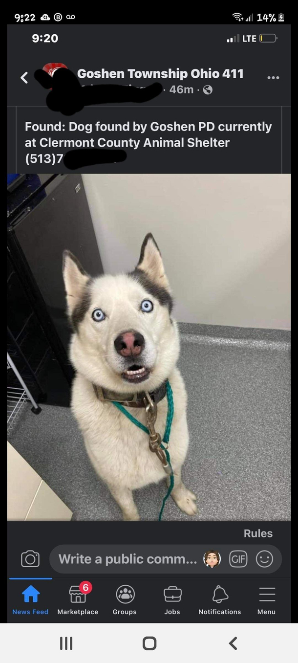 He must be hiding the pack 