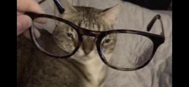 He needs his glasses