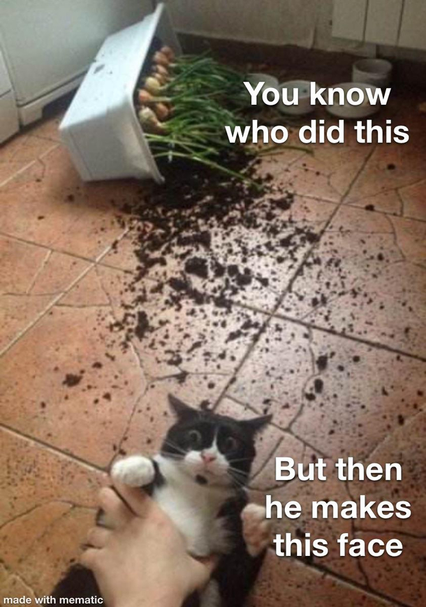 He pulled of the Puss in Boots move