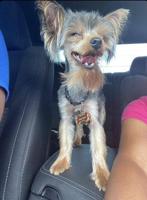 he really likes his new cut