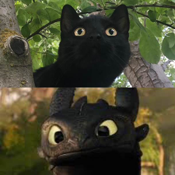 He reminds me of someone