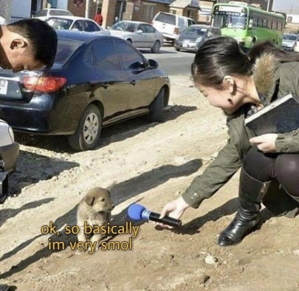 He speaks the truth