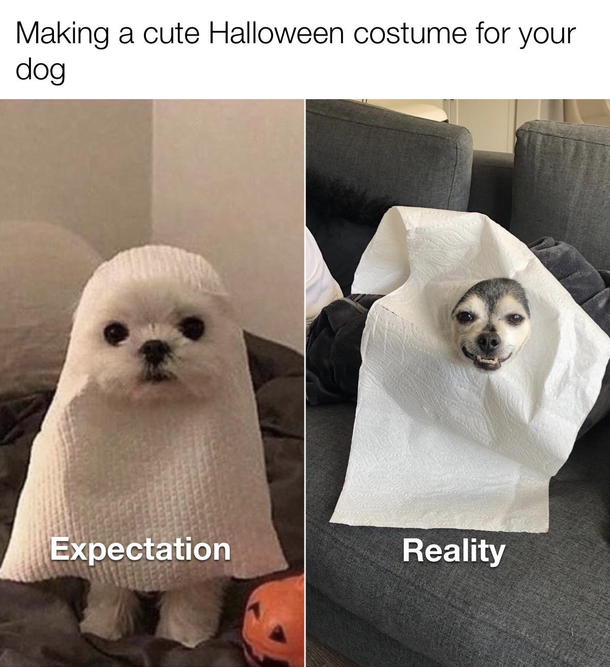 He still cute tho