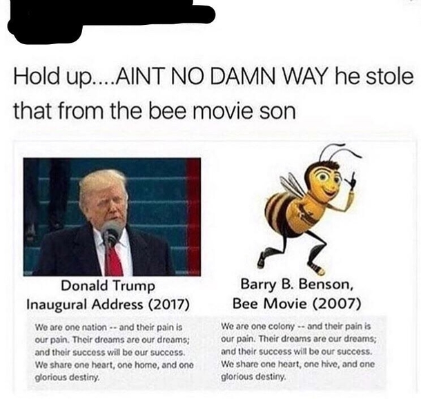 He stole that from the Bee Movie